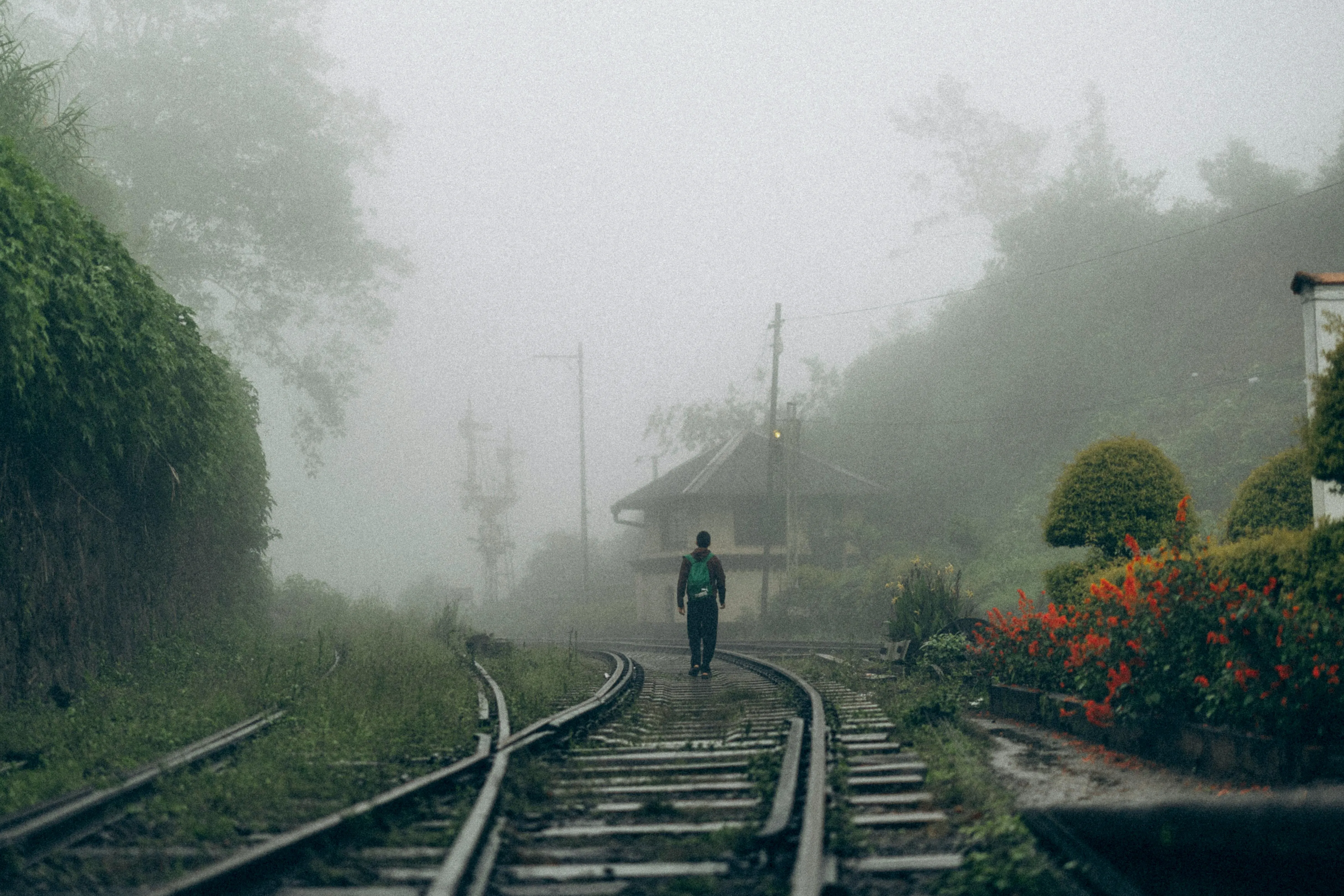 Chasing Southern 
 Horizons